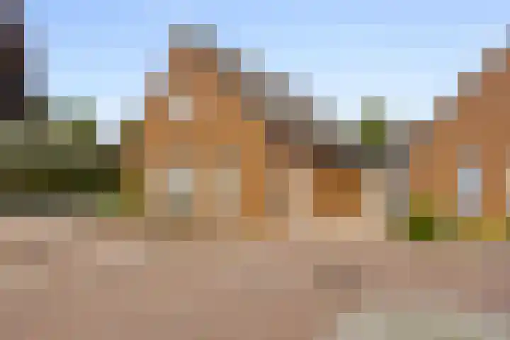 Brouwershof 6 Mill thumbnail 29