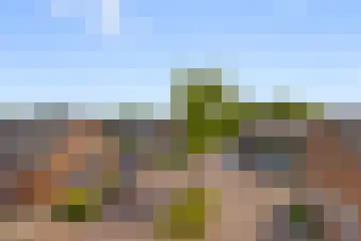 Brouwershof 6 Mill thumbnail 33