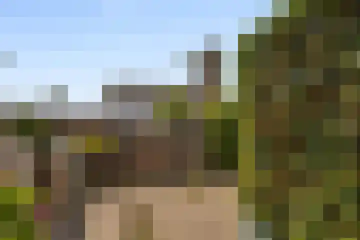 Brouwershof 6 Mill thumbnail 34