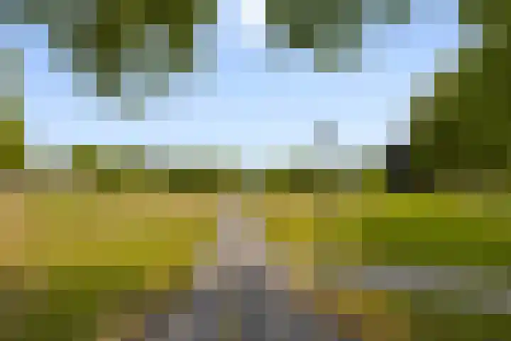 Brouwershof 6 Mill thumbnail 37