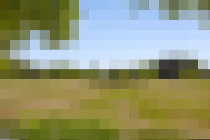 Brouwershof 6 Mill thumbnail 38