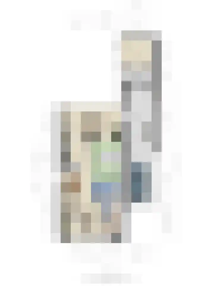 Brouwershof 6 Mill thumbnail 39