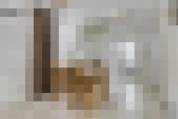 Brouwershof 6 Mill thumbnail 6
