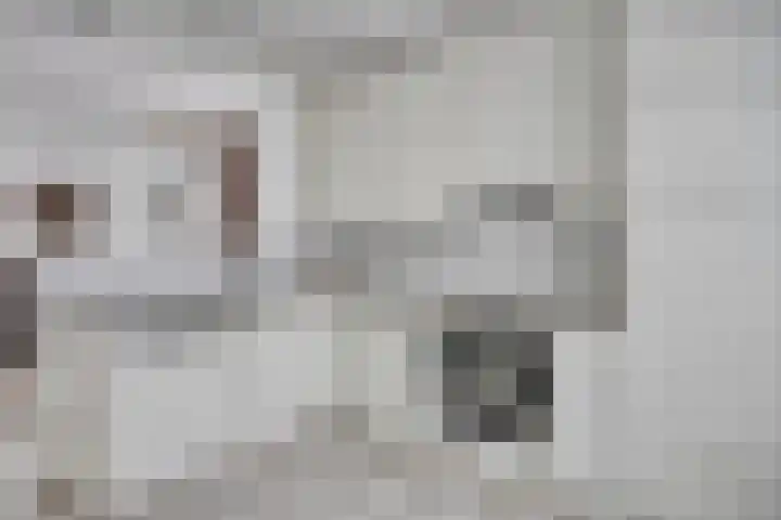 Brouwershof 6 Mill thumbnail 8