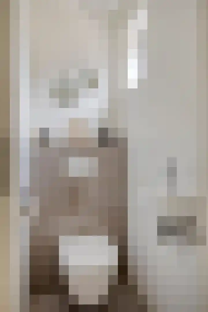 Brouwershof 62 Reek thumbnail 11