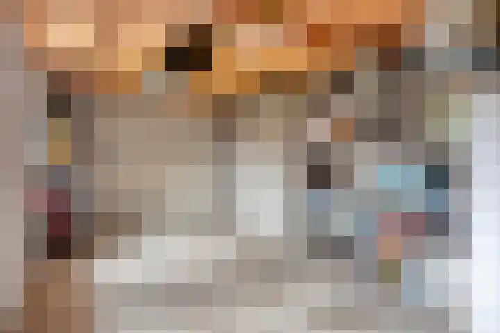 Brouwershof 62 Reek thumbnail 12