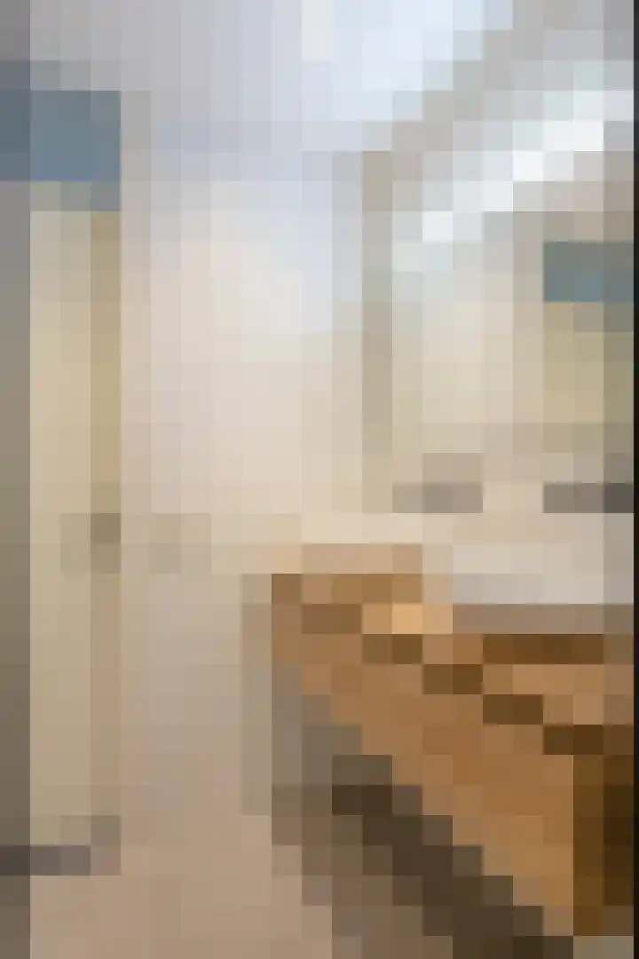 Brouwershof 62 Reek thumbnail 27