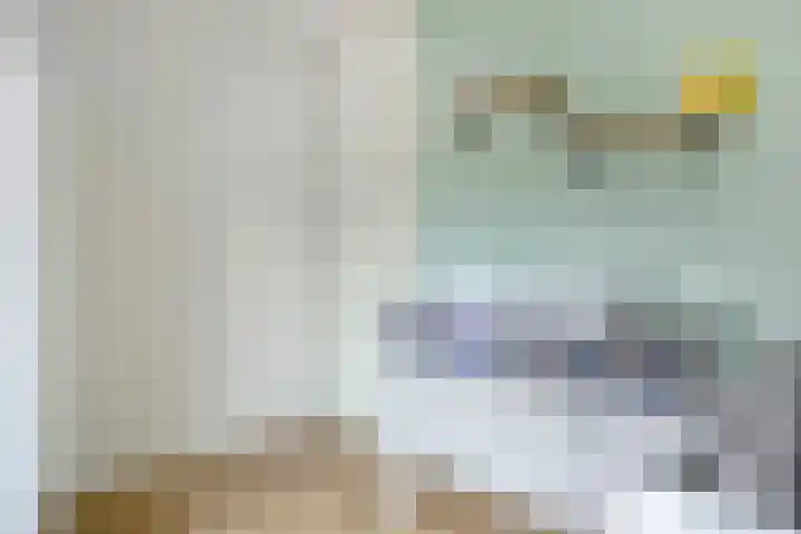 Brouwershof 62 Reek thumbnail 31