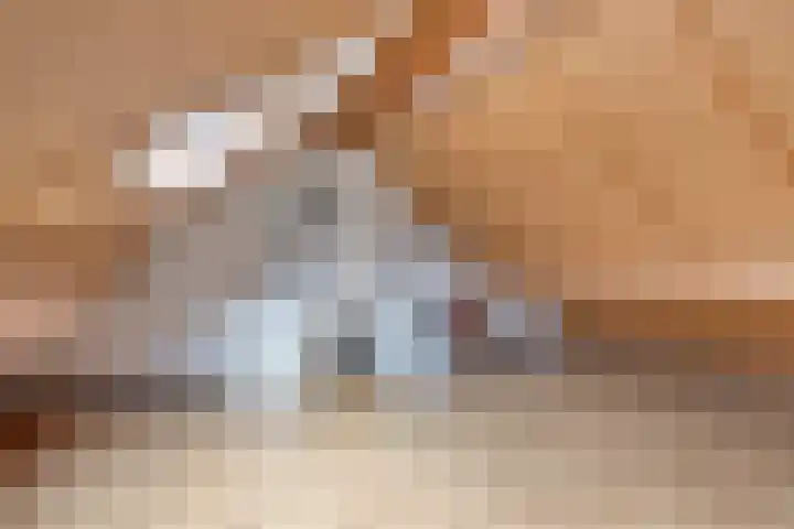 Brouwershof 62 Reek thumbnail 32