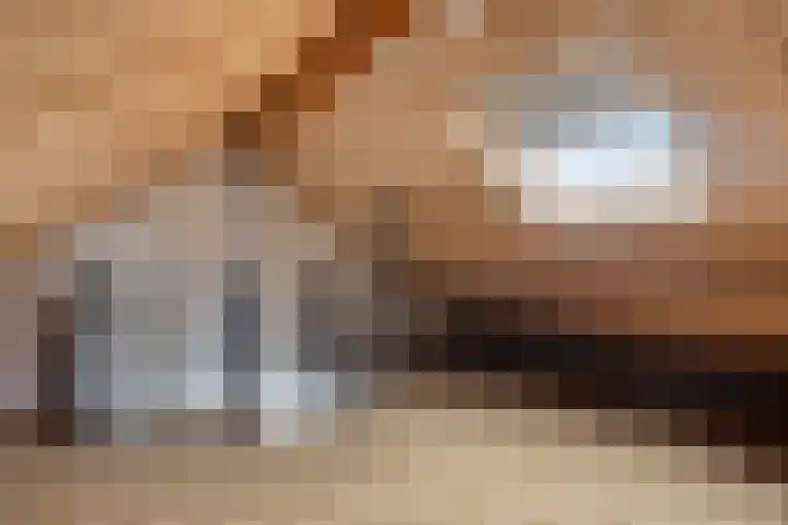 Brouwershof 62 Reek thumbnail 33