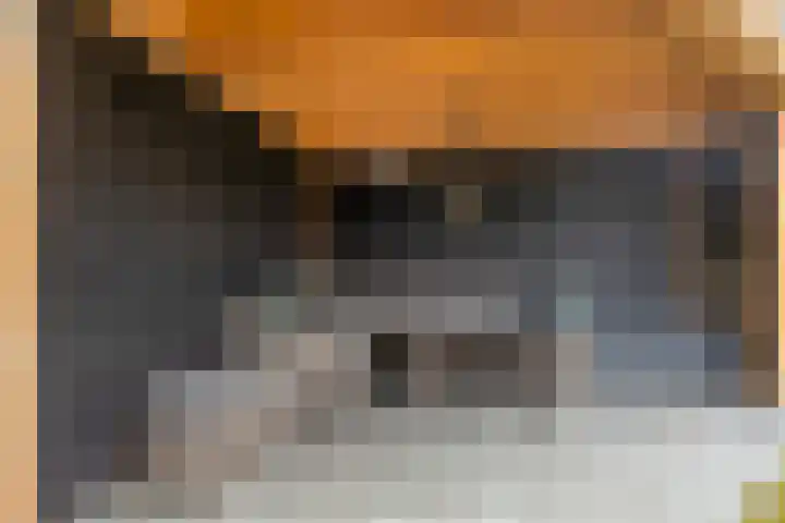 Brouwershof 62 Reek thumbnail 39