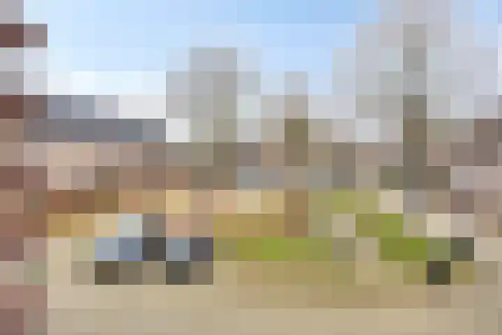 Brouwershof 62 Reek thumbnail 40