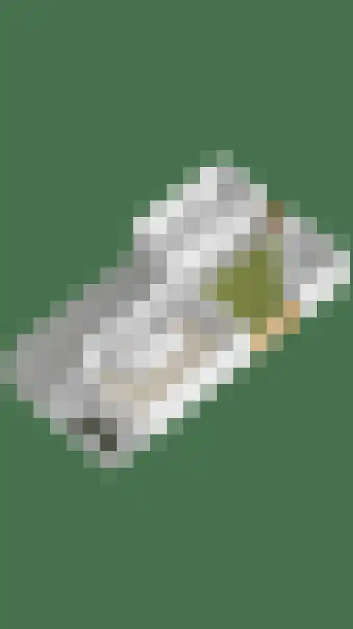 Brouwershof 62 Reek thumbnail 42