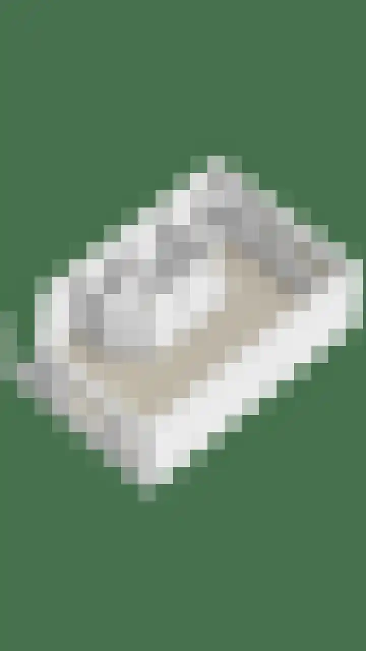 Brouwershof 62 Reek thumbnail 44