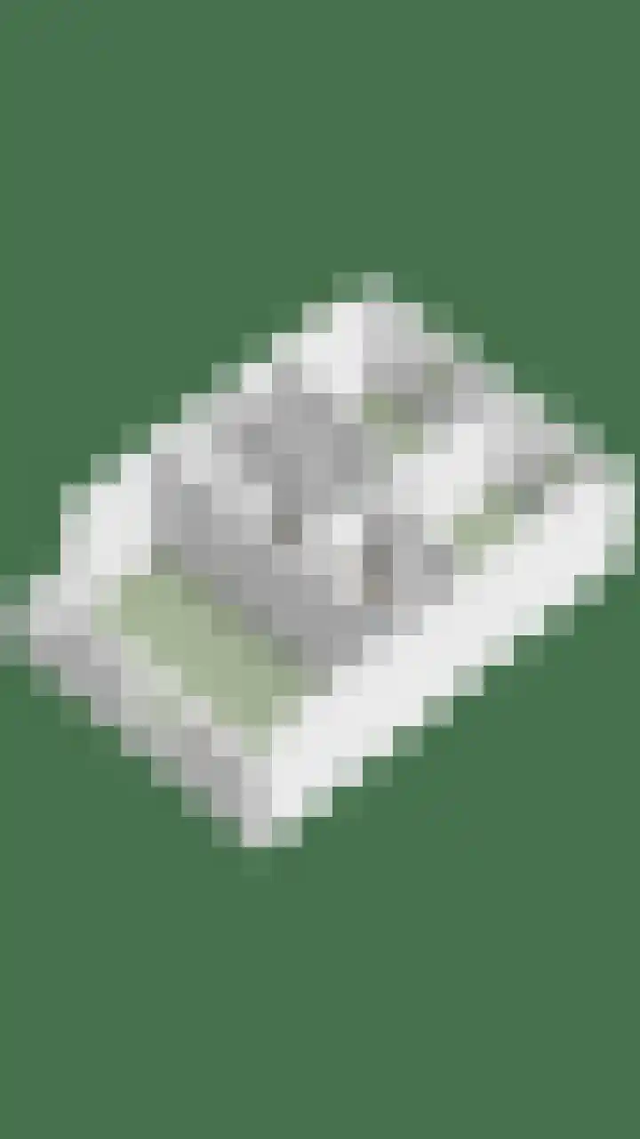 Brouwershof 62 Reek thumbnail 46