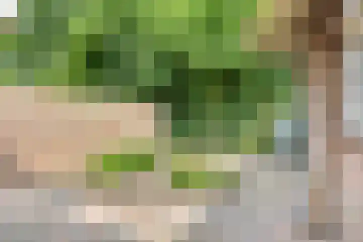 Brouwershof 68 Reek thumbnail 24