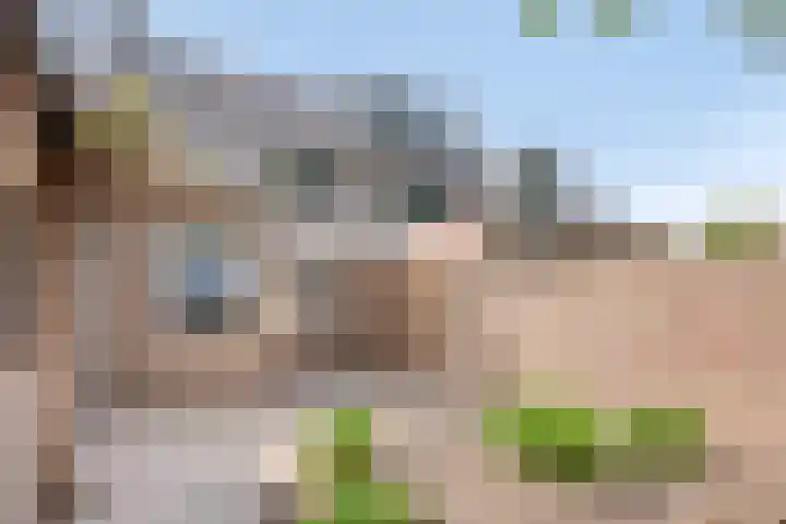 Brouwershof 68 Reek thumbnail 25