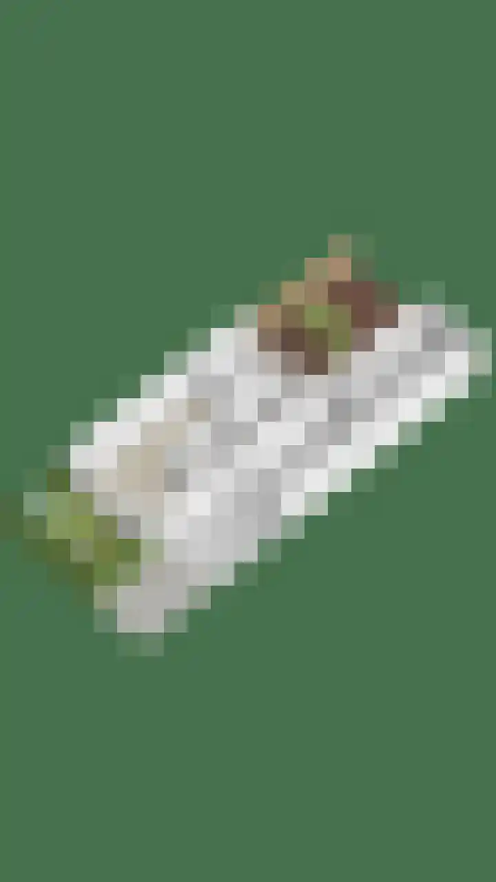 Brouwershof 68 Reek thumbnail 32