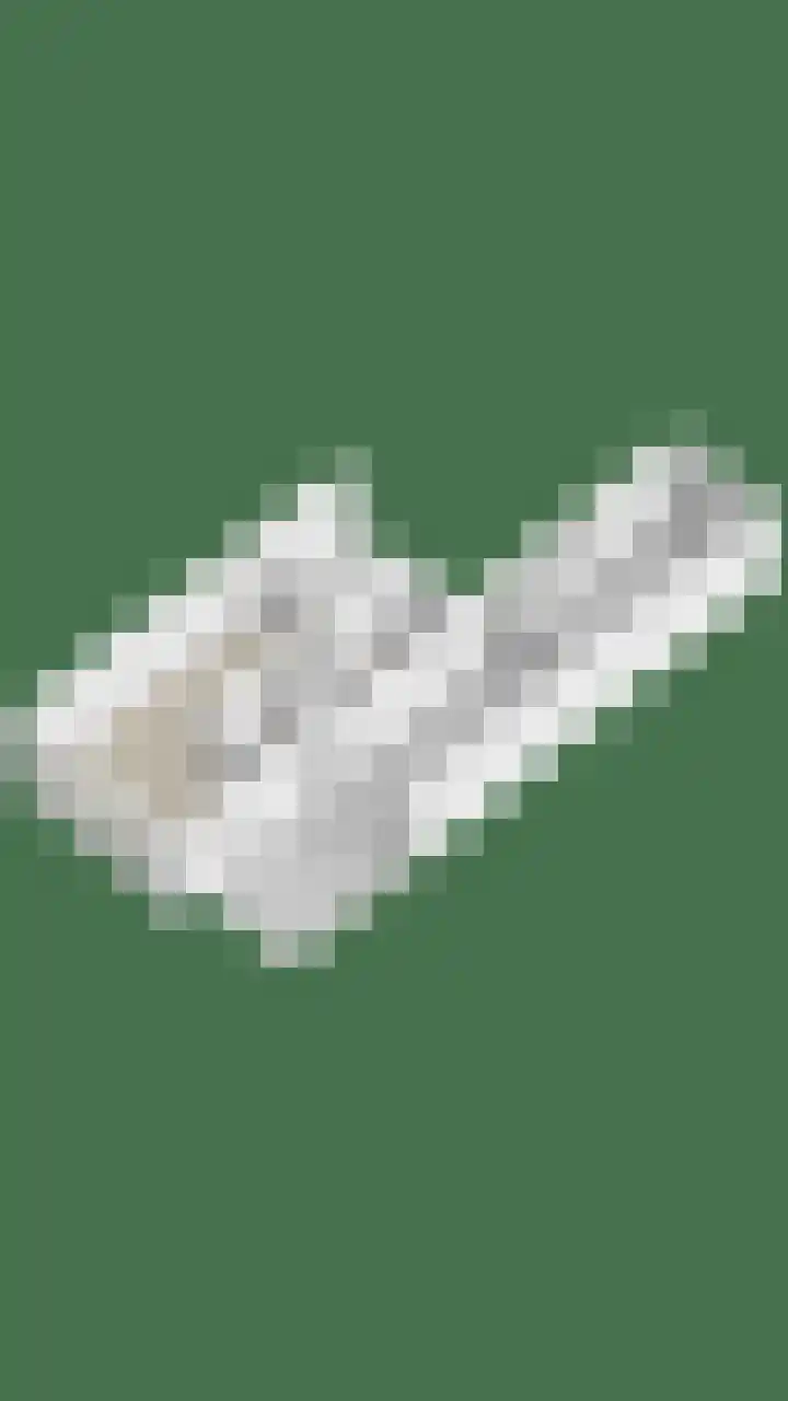 Brouwershof 68 Reek thumbnail 34