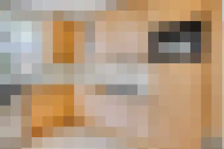 Brouwershof 68 Reek thumbnail 8