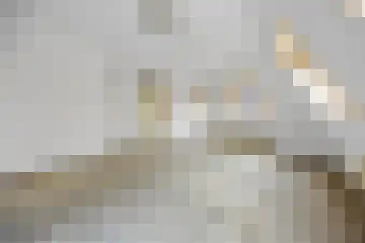 Brouwershof 8 Barneveld thumbnail 12