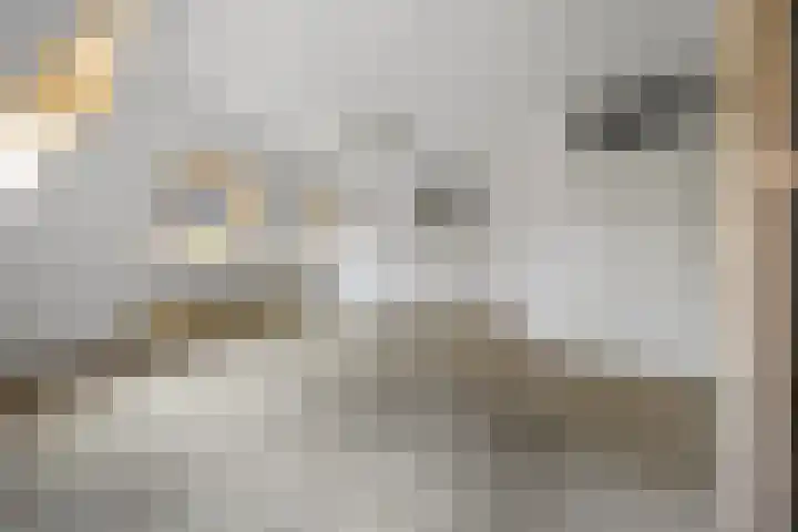Brouwershof 8 Barneveld thumbnail 13