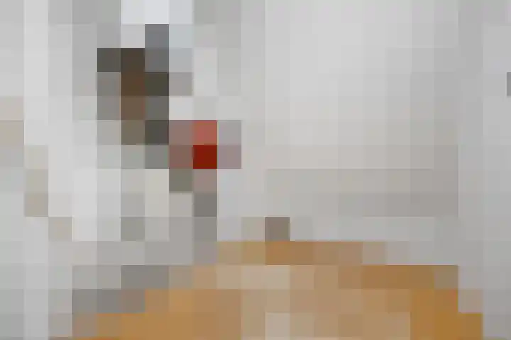 Brouwershof 8 Barneveld thumbnail 24