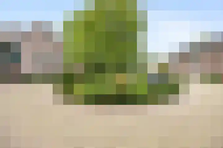 Brouwershof 8 Barneveld thumbnail 25