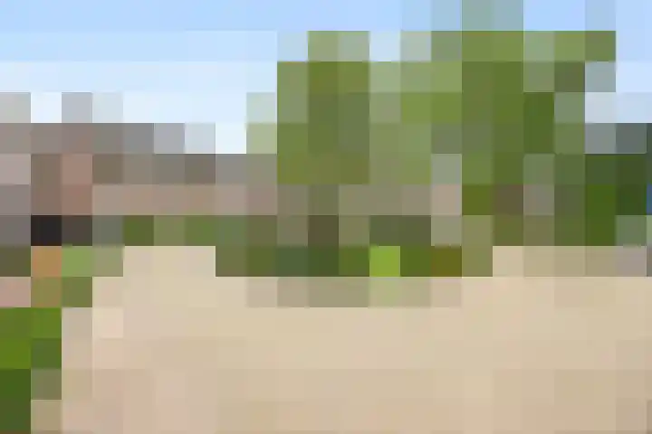 Brouwershof 8 Barneveld thumbnail 26