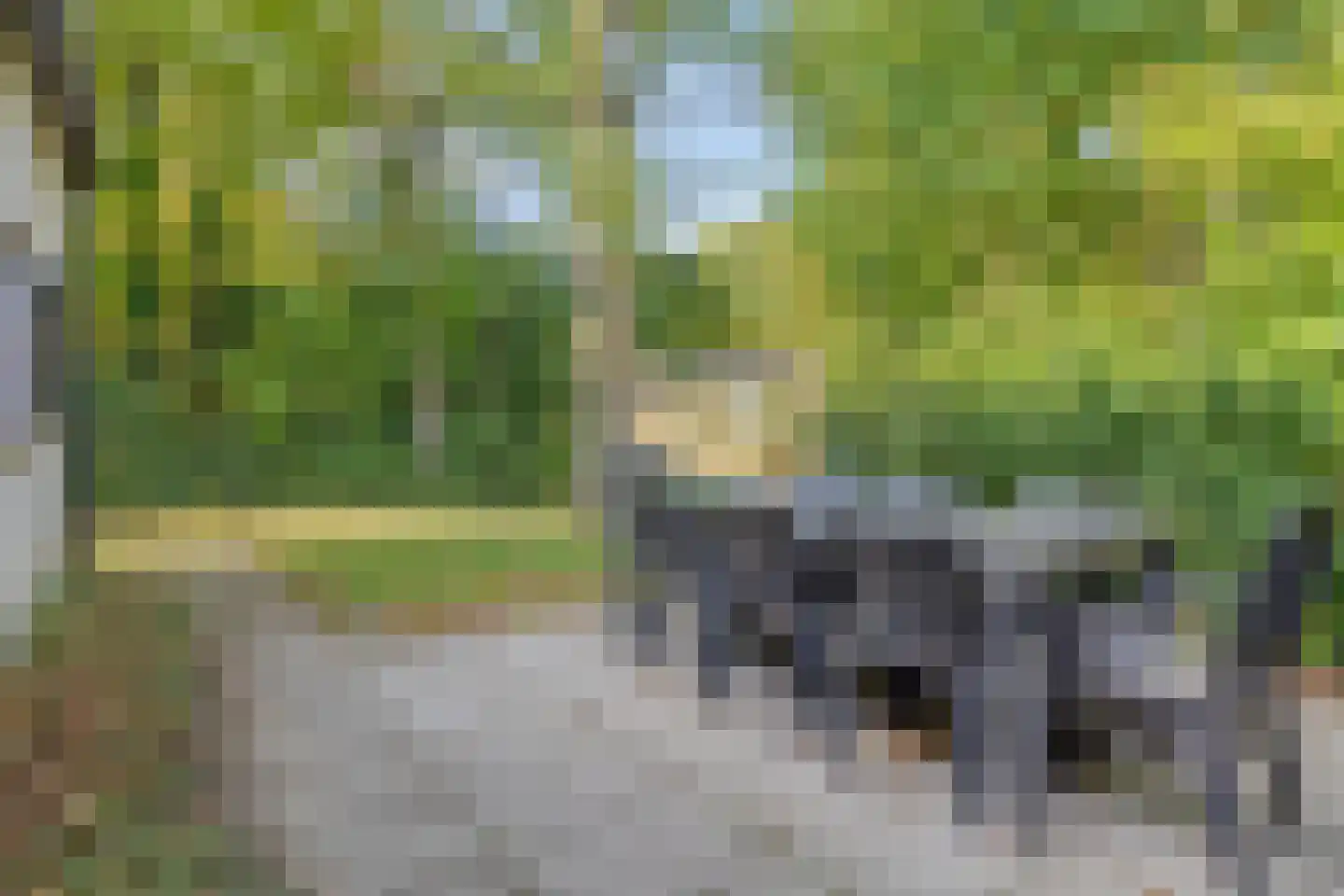 Brouwershoofd 36 Vrouwenpolder thumbnail 30