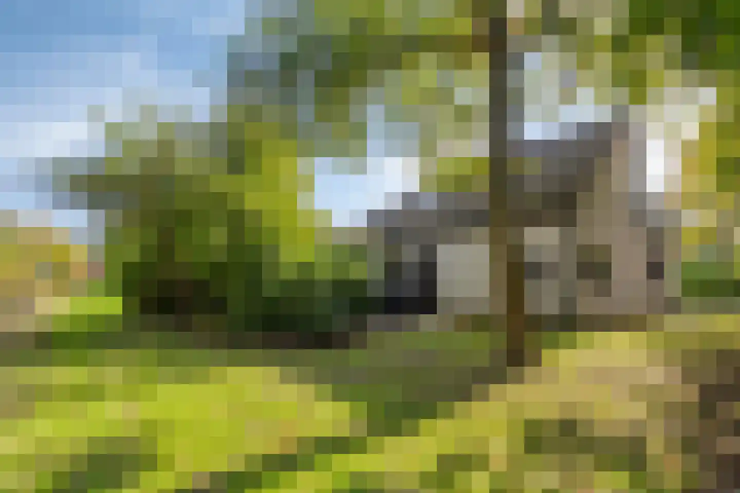 Brouwershoofd 36 Vrouwenpolder thumbnail 32
