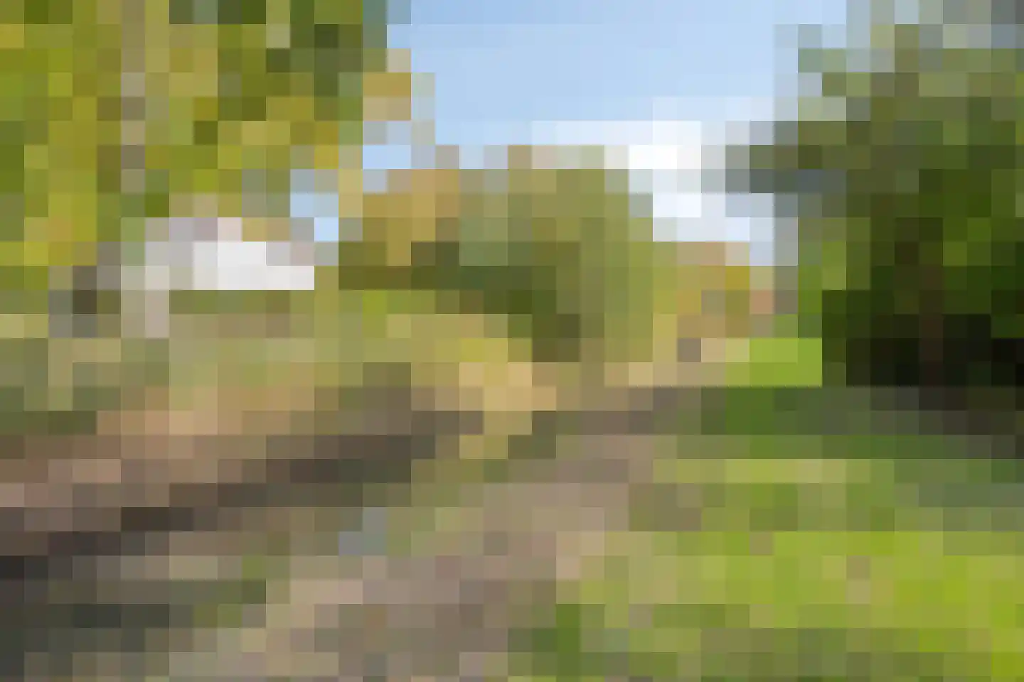 Brouwershoofd 36 Vrouwenpolder thumbnail 34