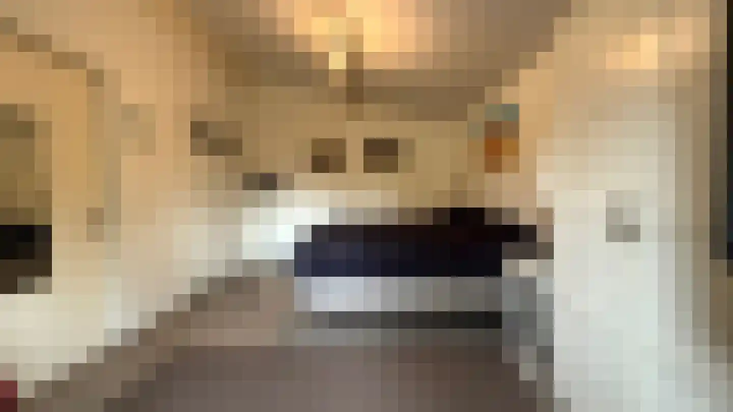 Brouwershoofd 54 Vrouwenpolder thumbnail 15