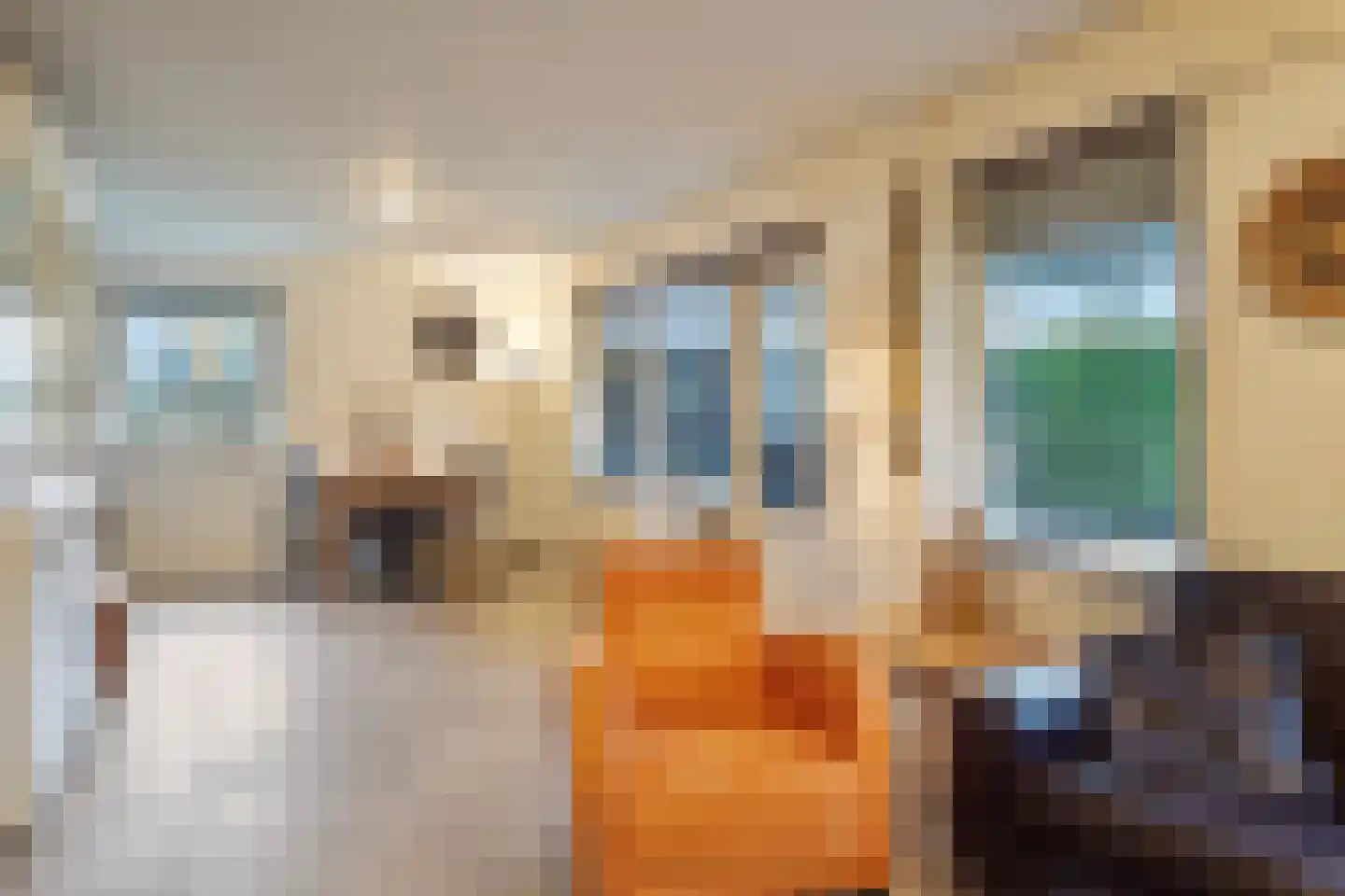 Brouwershoofd 54 Vrouwenpolder thumbnail 8