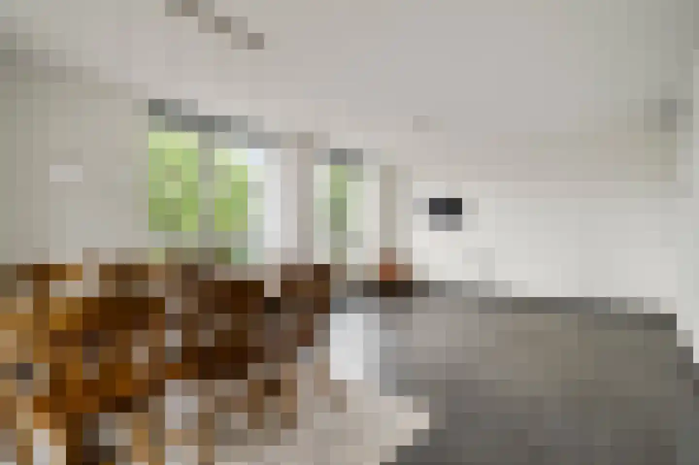 Brouwershuis 3 Heythuysen thumbnail 12
