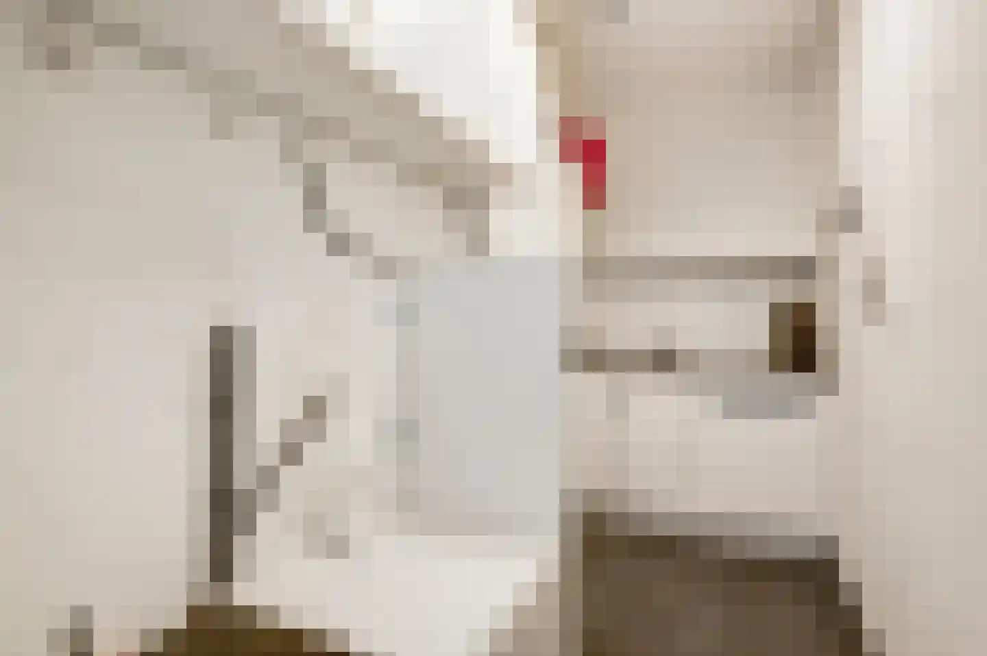 Brouwershuis 3 Heythuysen thumbnail 21