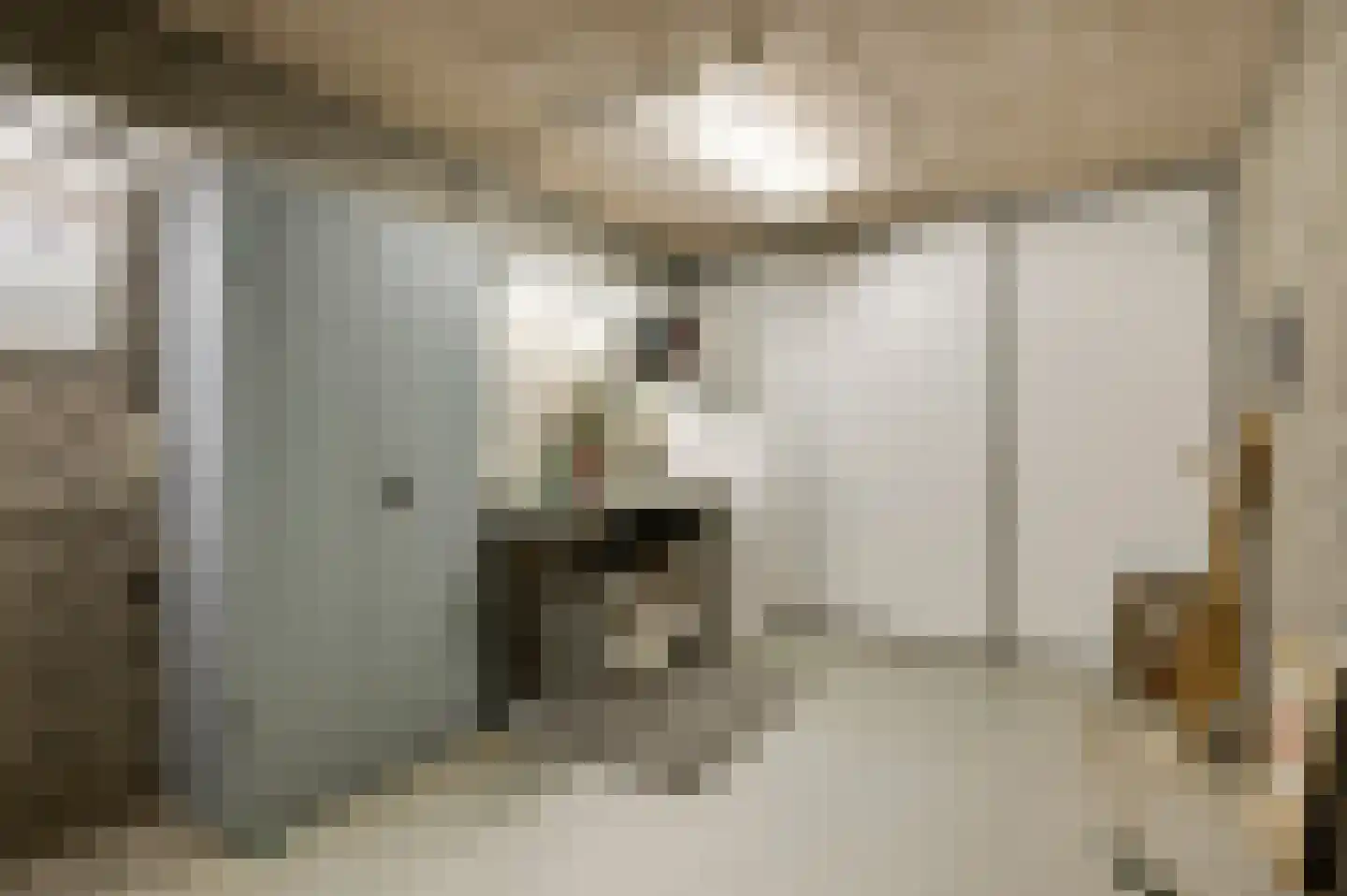 Brouwershuis 3 Heythuysen thumbnail 33