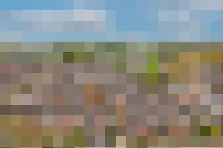 Brouwerskamp 19 Haaften thumbnail 33