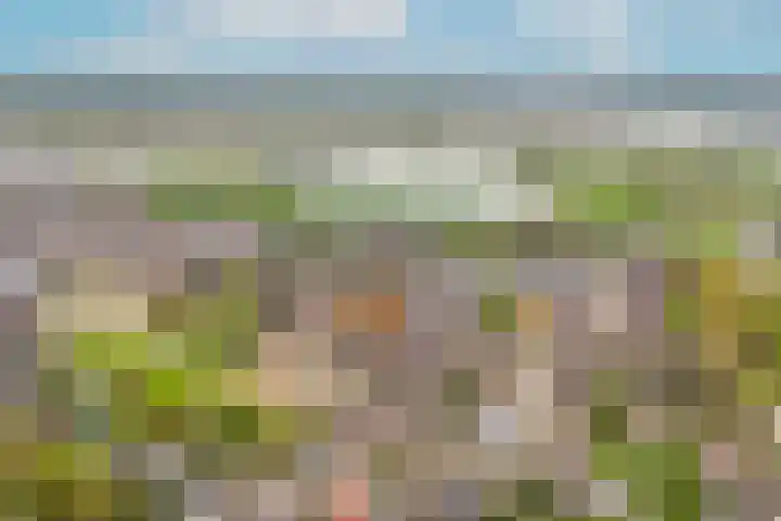 Brouwerskamp 19 Haaften thumbnail 34