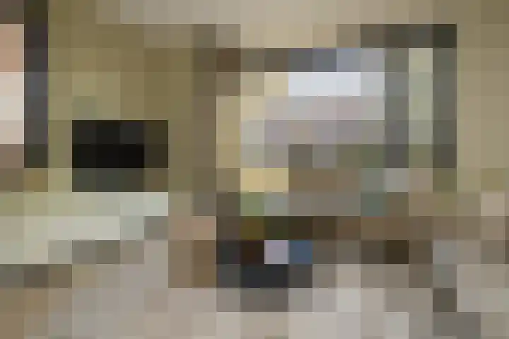 Brouwerskamp 19 Nunspeet thumbnail 15
