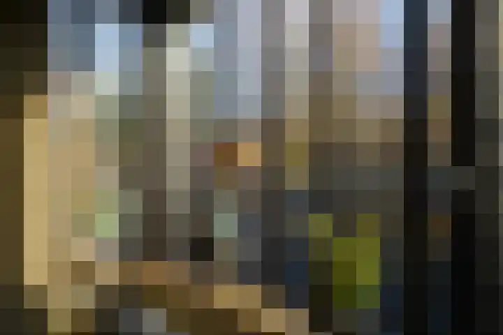 Brouwerskamp 19 Nunspeet thumbnail 16