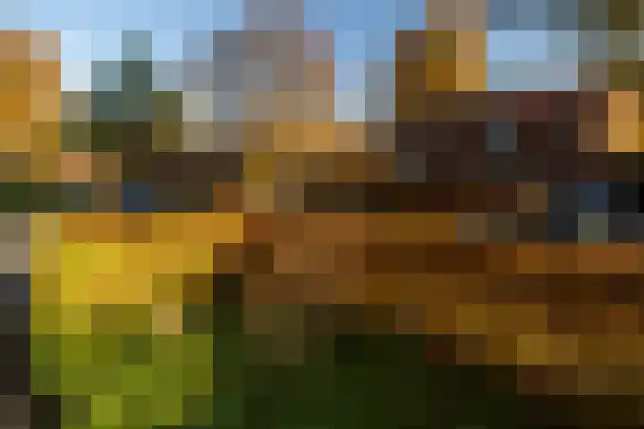 Brouwerskamp 19 Nunspeet thumbnail 39