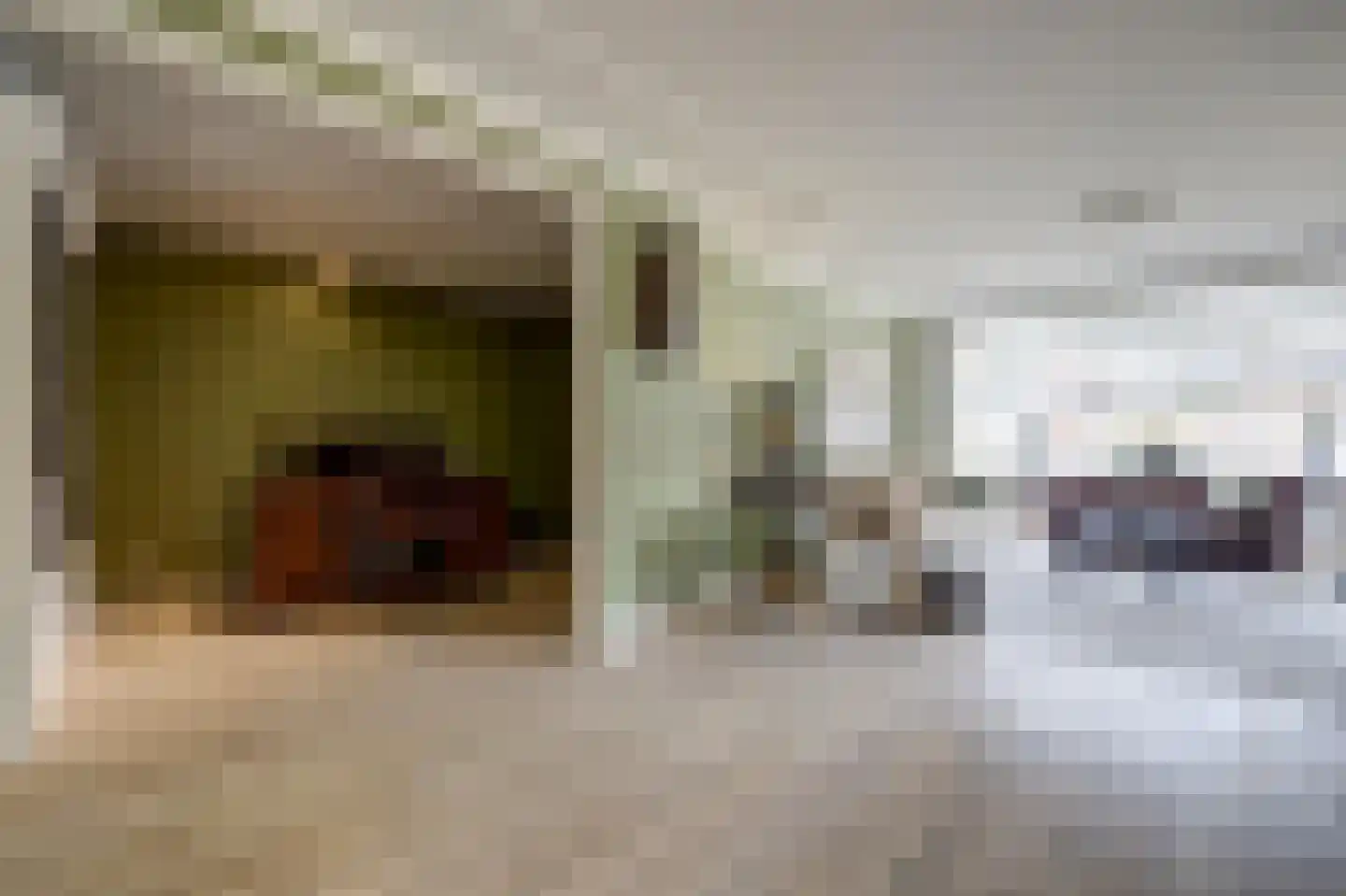 Brouwerskamp 22 Nunspeet thumbnail 11