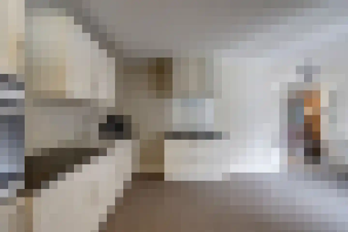 Brouwerskamp 22 Nunspeet thumbnail 15