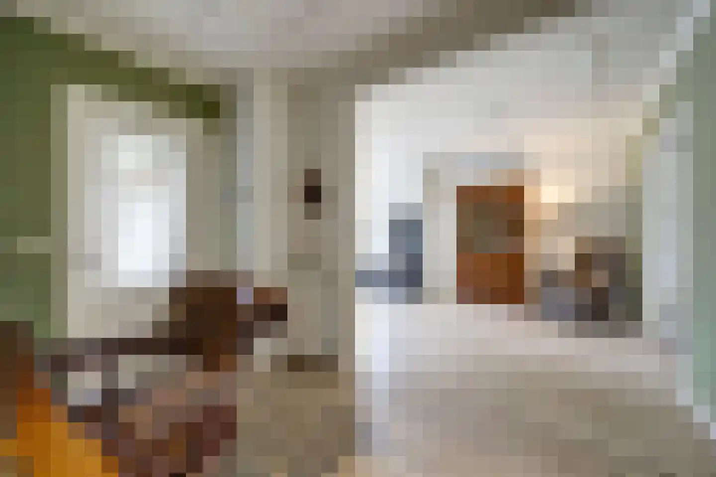 Brouwerskamp 22 Nunspeet thumbnail 17
