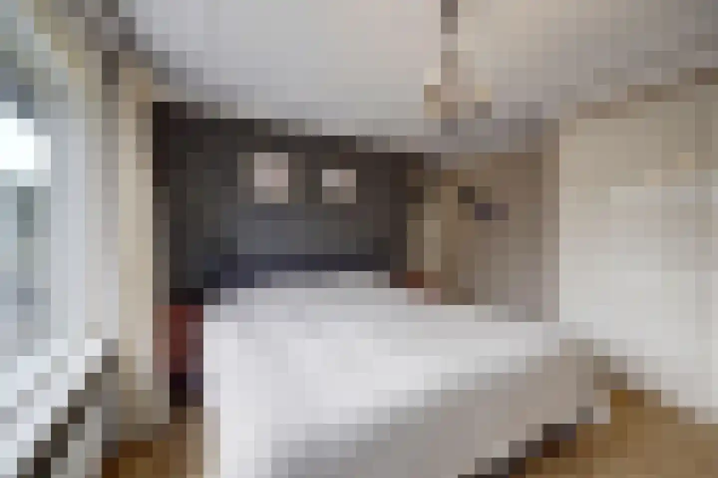 Brouwerskamp 22 Nunspeet thumbnail 20