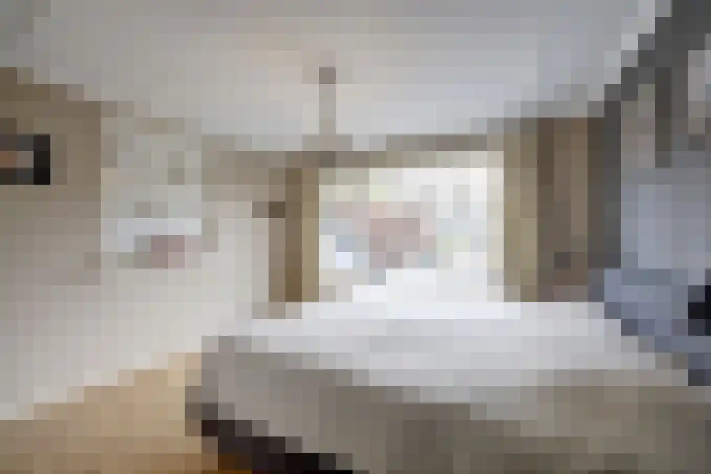 Brouwerskamp 22 Nunspeet thumbnail 21