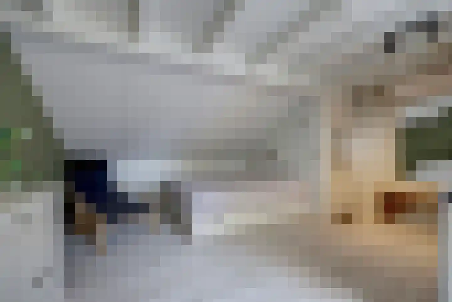 Brouwerskamp 22 Nunspeet thumbnail 35