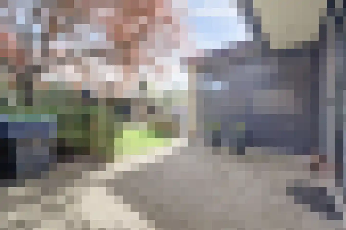 Brouwerskamp 22 Nunspeet thumbnail 42