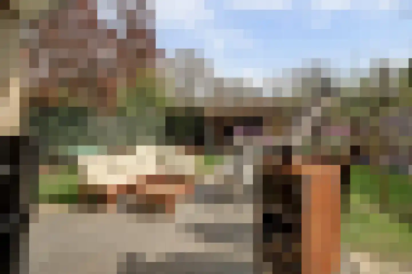 Brouwerskamp 22 Nunspeet thumbnail 45